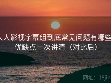 人人影视字幕组到底常见问题有哪些？优缺点一次讲清（对比后）