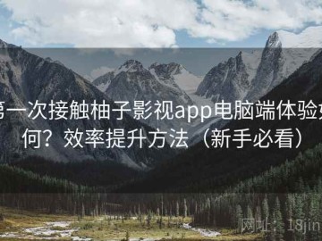 第一次接触柚子影视app电脑端体验如何？效率提升方法（新手必看）