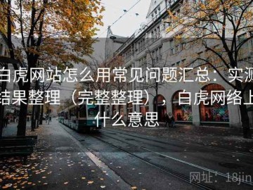 白虎网站怎么用常见问题汇总：实测结果整理（完整整理），白虎网络上什么意思