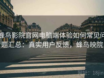蜂鸟影院官网电脑端体验如何常见问题汇总：真实用户反馈，蜂鸟映院