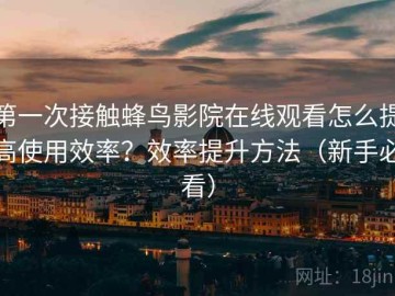 第一次接触蜂鸟影院在线观看怎么提高使用效率？效率提升方法（新手必看）