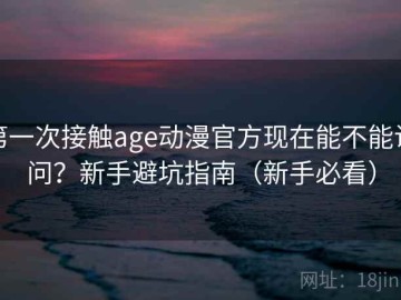 第一次接触age动漫官方现在能不能访问？新手避坑指南（新手必看）