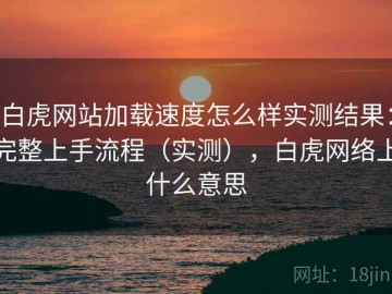 白虎网站加载速度怎么样实测结果：完整上手流程（实测），白虎网络上什么意思
