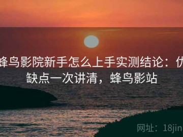 蜂鸟影院新手怎么上手实测结论：优缺点一次讲清，蜂鸟影站