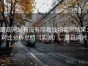 蘑菇网站有没有隐藏技巧实测结果：对比分析总结（实测），蘑菇网片