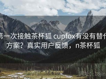 第一次接触茶杯狐 cupfox有没有替代方案？真实用户反馈，n茶杯狐