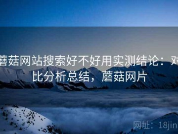 蘑菇网站搜索好不好用实测结论：对比分析总结，蘑菇网片