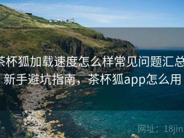 茶杯狐加载速度怎么样常见问题汇总：新手避坑指南，茶杯狐app怎么用