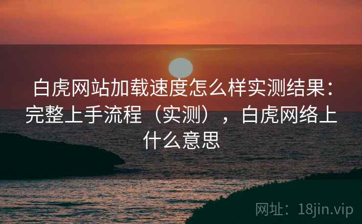白虎网站加载速度怎么样实测结果：完整上手流程（实测），白虎网络上什么意思