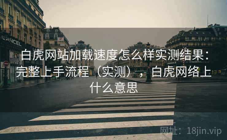 白虎网站加载速度怎么样实测结果：完整上手流程（实测），白虎网络上什么意思