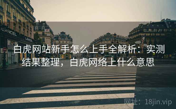 白虎网站新手怎么上手全解析：实测结果整理，白虎网络上什么意思