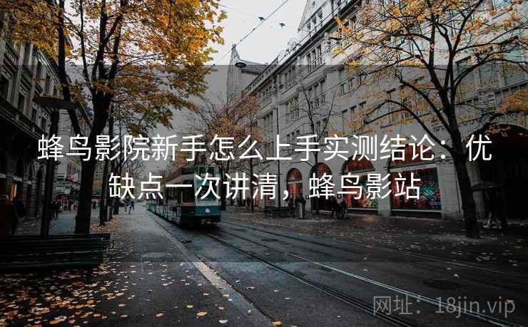 蜂鸟影院新手怎么上手实测结论：优缺点一次讲清，蜂鸟影站