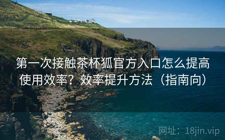第一次接触茶杯狐官方入口怎么提高使用效率？效率提升方法（指南向）