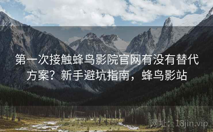 第一次接触蜂鸟影院官网有没有替代方案？新手避坑指南，蜂鸟影站