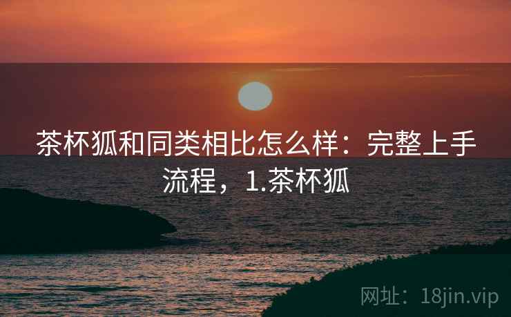 茶杯狐和同类相比怎么样:完整上手流程,1.茶杯狐 茶杯狐和同类相比怎么样:完整上手流程,1.茶杯狐